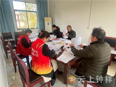 “社工+志愿”精准助力——柴湖镇凌楼村宅基地资料完善工作提质进位