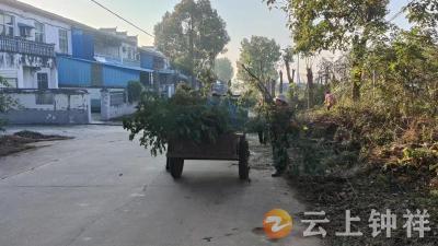 石牌镇彭墩村开展“清洁家园”志愿服务活动 绘就和美乡村新画卷