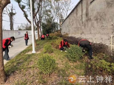 聚力清洁家园 擦亮宜居底色——皇庄街道多措并举推动“清洁家园”行动取得成效