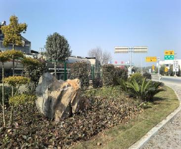 磷矿镇“三步走”推进“清洁家园”行动，绘就乡村振兴新图景