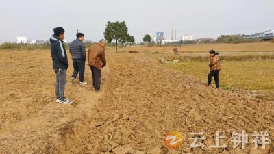 石牌镇横店村：网格发力破僵局 耕地纠纷巧化解