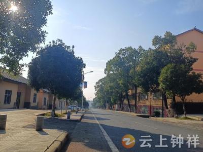 石门水库：水清岸绿家园美 长效治理焕新颜