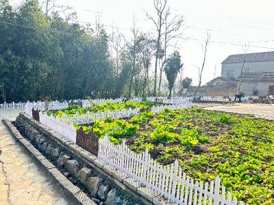 双河镇：聚民力破局 焕家园新颜