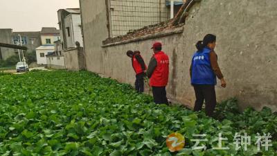 石牌镇姚台村：先发制“罂”守净土 筑牢禁种铲毒防线