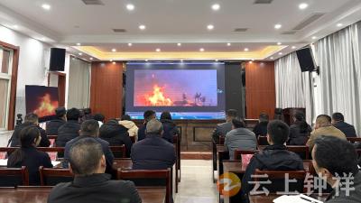 以案为鉴 警钟长鸣——冷水镇开展森林防灭火警示教育集中观影活动