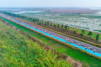 这抹绿，成为荆州上扬的底色！