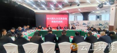 李鹏参加市八届人大五次会议胡集代表团审议