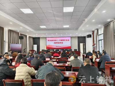 双河镇举办学习贯彻党的二十届四中全会精神宣讲会