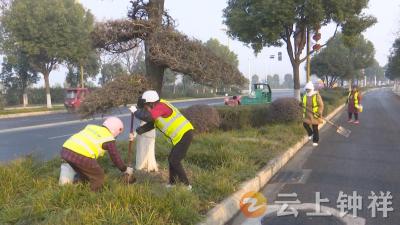 冬季养护正当时！钟祥城区十万株绿化苗木吃上“营养餐”
