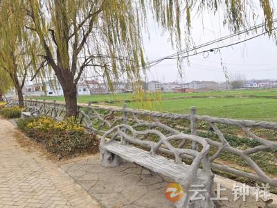 文集镇大庙村：311省道沿线美丽乡村画卷徐徐铺展