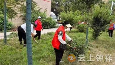 郢中街道王家湾社区“清洁家园”行动初显成效