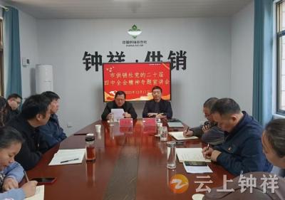 钟祥市供销社举办学习贯彻党的二十届四中全会精神宣讲会