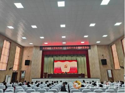 客店镇学习贯彻党的二十届四中全会精神