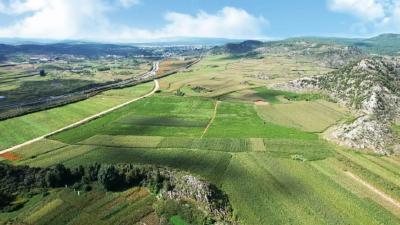 这些宜昌“土特产”，凭啥值千亿？