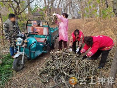 东桥镇开展“劈柴扫院”志愿服务  为寒冬添暖