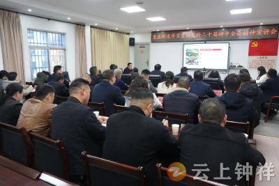 皇庄街道学习贯彻党的二十届四中全会精神