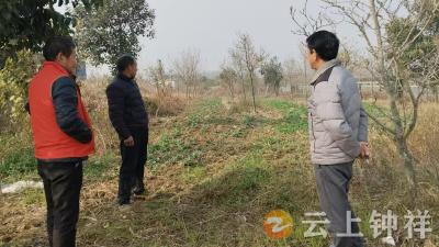 石牌镇白龙村：田埂砍柴起纠纷 网格调解化矛盾