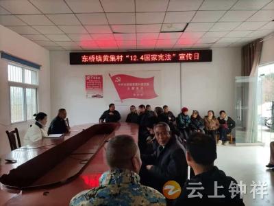 东桥镇：宪法宣传进村社 法治观念入人心
