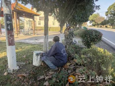 张集镇沙河村：网格员牵头村民齐参与 为树木穿“白甲”御冬防虫