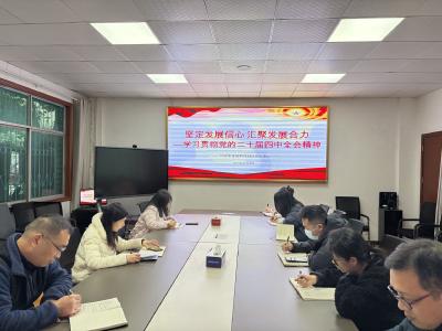 钟祥市金融和投融资服务中心专题宣讲党的二十届四中全会精神 引领金融工作高质量发展