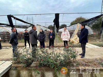 张集镇人大代表专题调研：聚焦香菇产业发展 关注供水安全保障