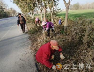 文集镇：“清洁家园”在行动 全民共建美乡村