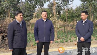 李鹏调研城市道路规划建设工作