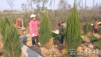 湖北金汉江公司启动“披绿计划” 助力东桥镇青龙山公墓生态修复