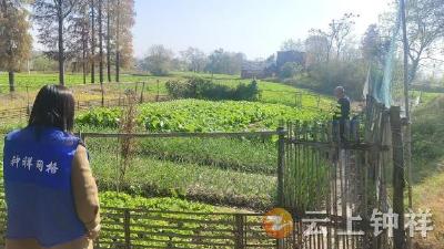 石牌镇石巷村：禁种铲毒护平安 筑牢禁毒防火墙