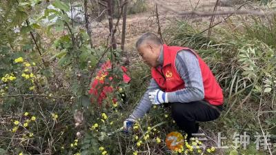 石牌镇周集村：心系群众解难题 挥汗田埂显担当