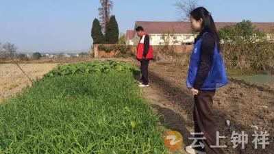 冷水镇铜钱村：网格化踏查筑防线 禁种铲毒护平安