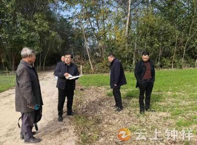丰乐镇立新村：网格助力化纠纷 土地确权解民忧