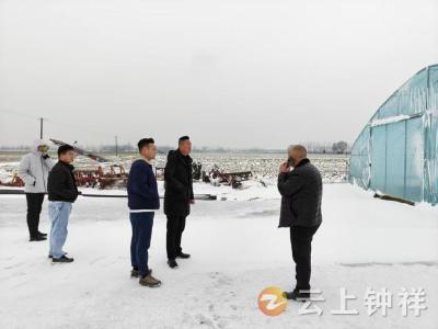 文集镇：闻“雪”而动 筑牢农业生产“安全网”