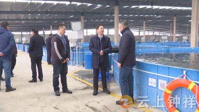 省农产品质量安全指导组到钟祥开展农产品质量安全指导服务工作