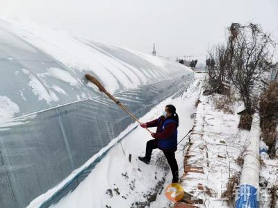 降雪来袭显担当 网格服务暖民心