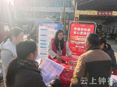 旧口镇：年味乡集送“政策礼包” 接您回家创未来