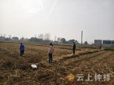 田埂划清和睦线 基层调解暖民心