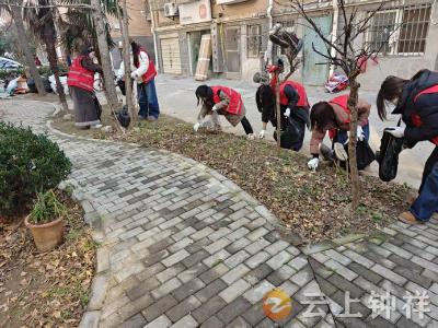 钟祥市子胥台社区多方联动聚合力，清洁家园焕新颜