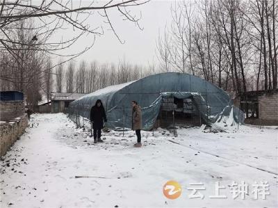 柴湖镇防检组顶风冒雪护民生 筑牢养殖防寒屏障