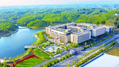 百强再晋位！宜昌如何做到的……