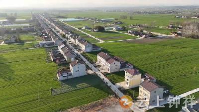 从“一路净美”到“全域和美”——文集镇绘就乡村人居环境治理新图景