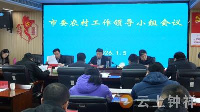 市委农村工作领导小组会议召开