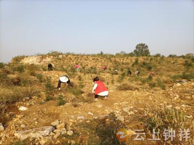 冷水镇李湾村：“小积分”撬动“大治理” 好风尚绘就新图景