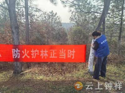 张集镇沙河村：“网格蓝”守护“青山绿” 织密森林防火安全网