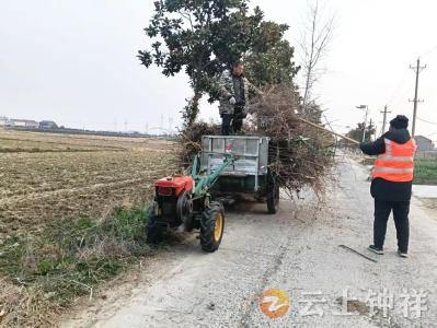 冷水镇鲍岗村：“迎新春、洁家园”环境整治扮靓和美乡村