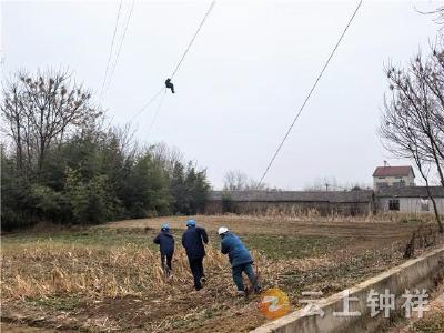 【新春走基层】钟祥供电：农田上的“空中手术”