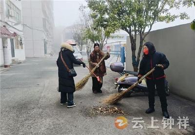 钟祥市开展“洁家园·迎新春”志愿服务 共建共治美好家园
