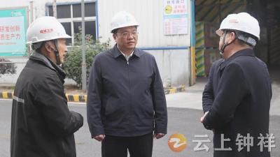 市政府主要领导到胡集镇调研企业复工复产和项目建设情况