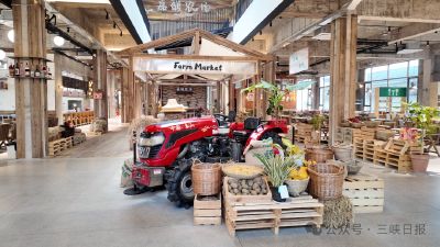 青年主播、“鸵鸟司令”、返乡会计……  看年轻人如何“唤醒”乡村