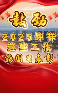 鼓劲！2025钟祥这些工作获国省表彰